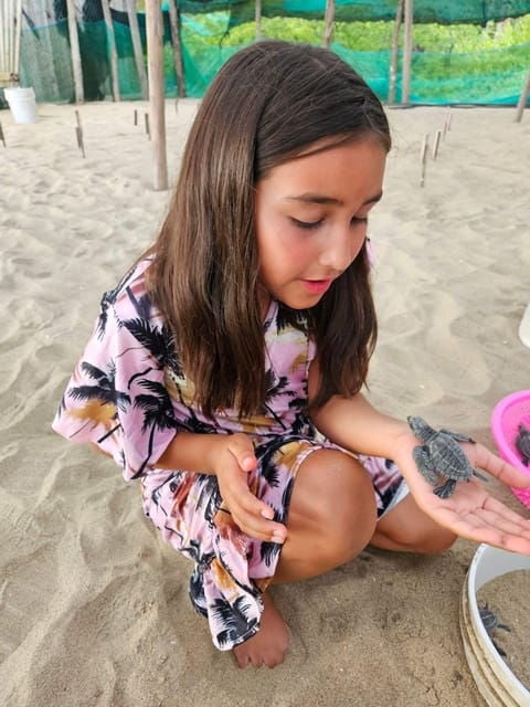 Zihuatanejo: Turtle Release Experience at Playa Blanca - Turtle Release Experience