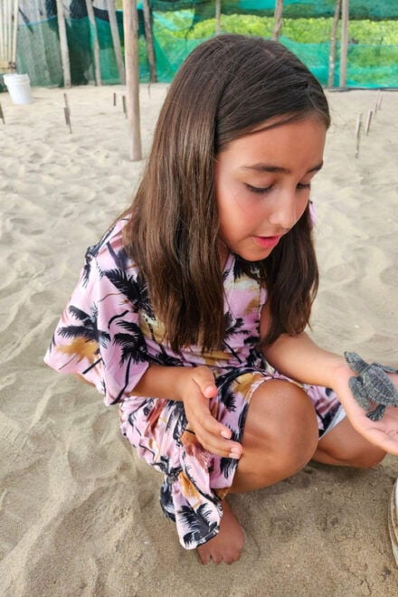 Zihuatanejo: Turtle Release Experience at Playa Blanca - What to Bring