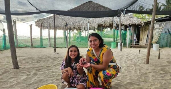 Zihuatanejo: Turtle Release Experience at Playa Blanca - Frequently Asked Questions