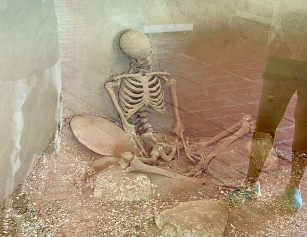 Zihuatanejo: Xihuacan Archaeological Tour With Museum Visit - Coconut Museum