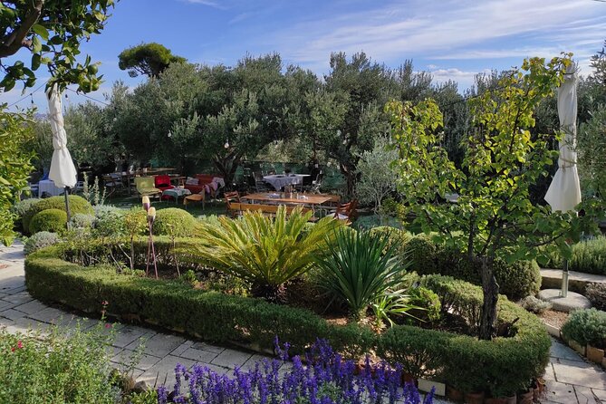 Zinfandel Wine Tasting & Storytelling With Dalmatian Food - Guest Experiences
