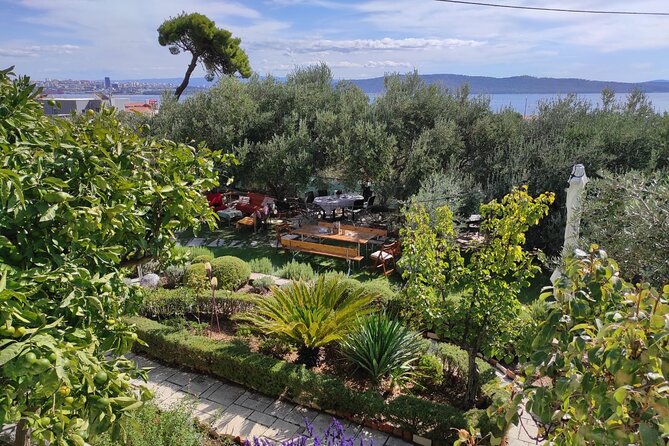 Zinfandel Wine Tasting & Storytelling With Dalmatian Food - The Sum Up