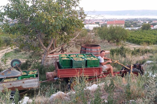 Zinfandel Wine Tour From Split - Reservation Details