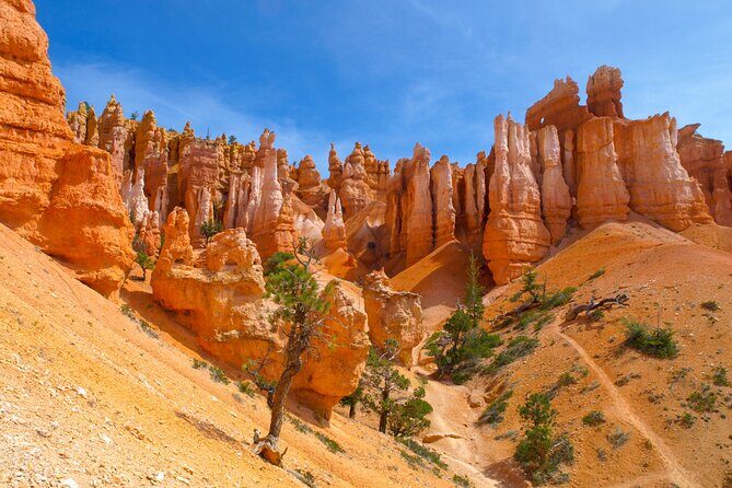 Zion, Bryce, Antelope, Grand Canyon, Las Vegas 6-Day Tour from SF - Good To Know