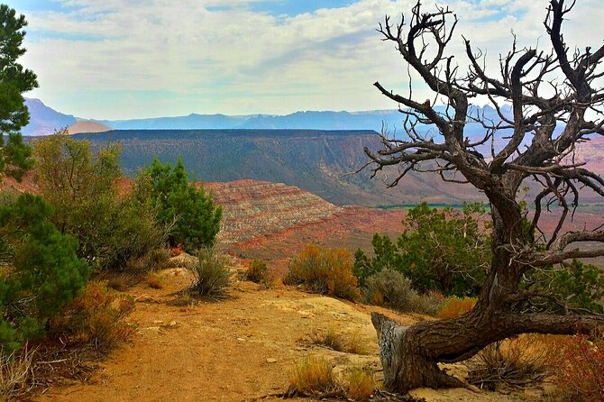Zion Jeep Tour Premium Package - Morning Tour - Customer Reviews