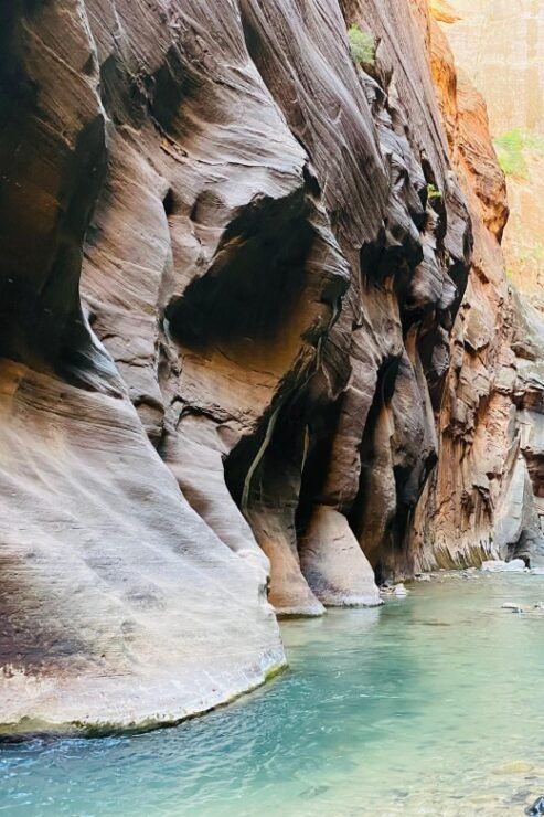 Zion Narrows - Guided Hike and Picnic - Booking Information