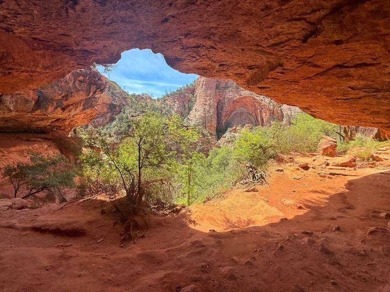 Zion National Park Canyon Overlook and Riverside Walk Hiking Tour - Is $145.35 good value?