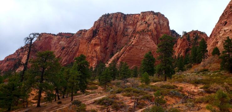 Zion National Park - Kolob Terrace: 1/2 Day Sightseeing Tour - Tour Details