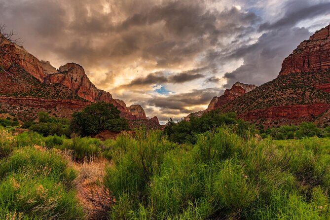 Zion National Park Self-Guided Driving & Shuttling Tour - Picnicking and Relaxing in Nature