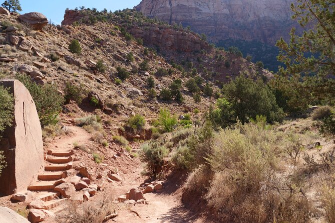 Zion National Park Small Group Tour With 6 Hours Explore Time - Convenience, Communication, and Recommendations