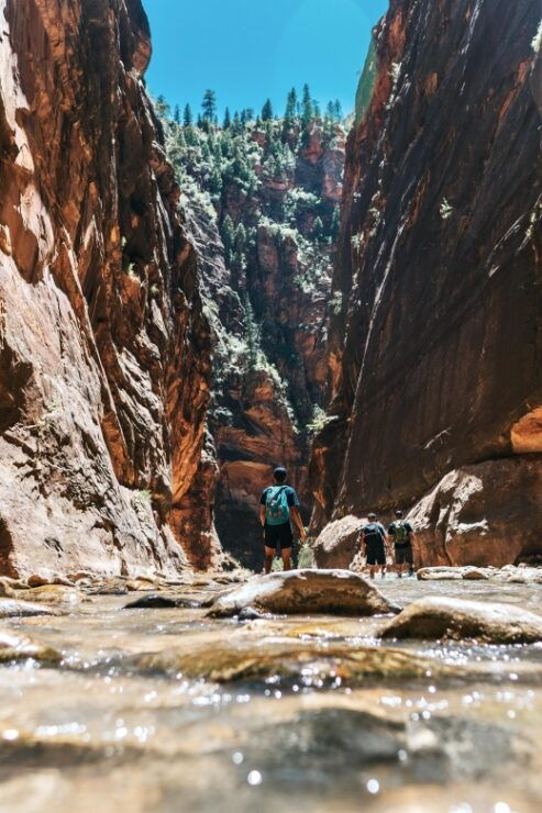 Zion National Park: Zion Full-Day Private Tour & Hike - Experience Highlights