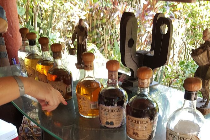 Zip Line Canopy Jungle Adventure From Puerto Vallarta - Cancellation Policy