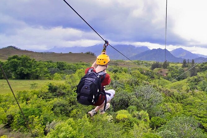 Zip Line in Punta Cana - Authenticity Check