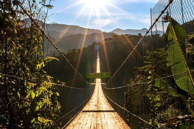 Zip Line, Mules Ride and Walk on the Hanging Bridge - A Closer Look at the Tour Experience