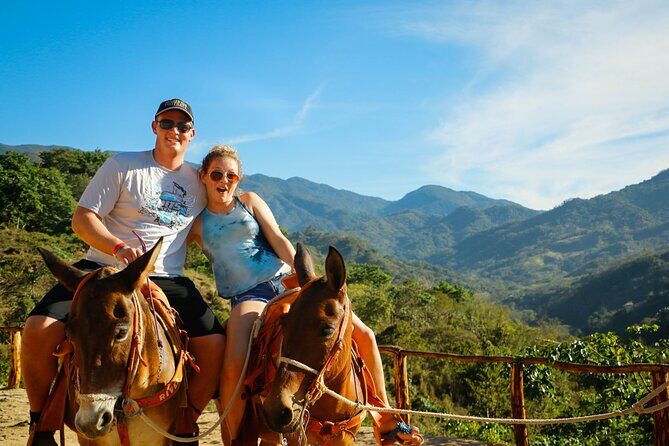 Zip Line, Mules Ride and Walk on the Hanging Bridge - Authentic Experiences and Real Traveler Insights
