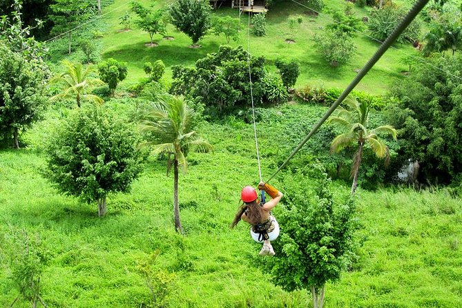 Zip Lines Samana and Limon Waterfall - Tour Highlights