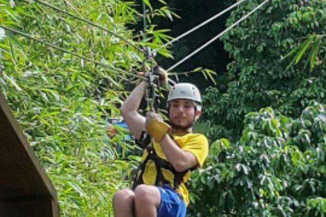 Zip Lining Adventure - Booking Information and Options