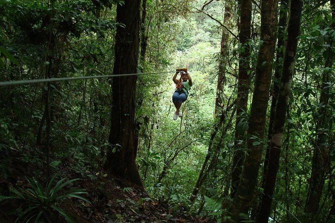 Zip Lining Adventure From San José - Activity Details
