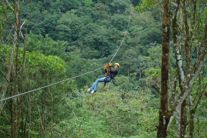 Zip Lining Adventure From San José - Price and Booking