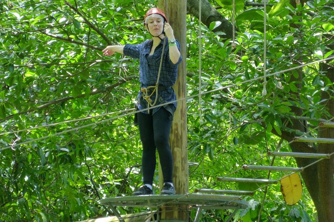 Zip Lining and Canopy Tree Tour in Rio De Janeiro - Experience Details