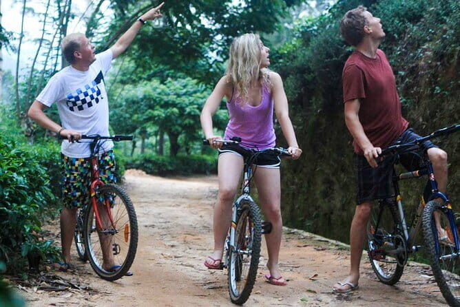 Zip Lining Experience in Ella - Who Should Consider This Experience?