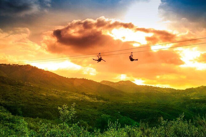 Zip Zoom Ziplines at La Jolla Indian Adventure Park - The Authentic Experience: What Travelers Say