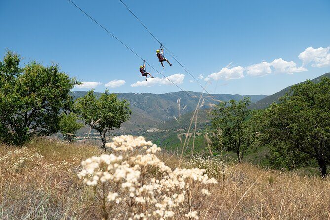 Zip Zoom Ziplines at La Jolla Indian Adventure Park - Final Thoughts: Is it Worth It?