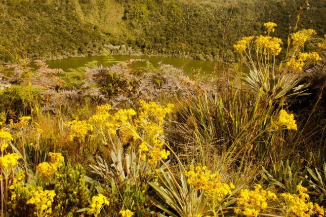 Zipaquira Salt Cathedral and Lake Guatavita - Additional Notes
