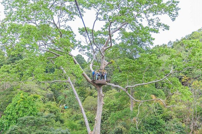 Zipline 18 Platform and ATV Adventure Tour From Phuket - Pricing and Booking Details
