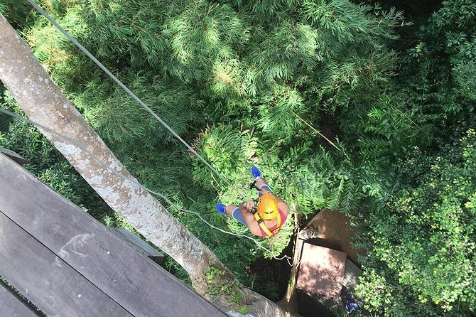 Zipline 18 Platform and ATV Adventure Tour From Phuket - Traveler Reviews