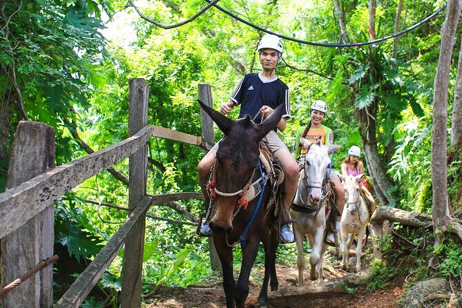 Zipline Adventure and Sky Bridge in Puerto Vallarta - The Sum Up