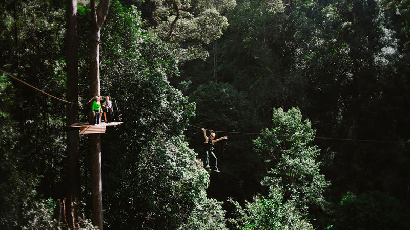 Zipline Adventure by Flying Tiger in Chiang Mai - What the Extreme course puts in front of you