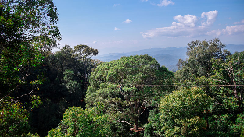 Zipline Adventure by Flying Tiger in Chiang Mai - Guides make the difference, especially if you fear heights