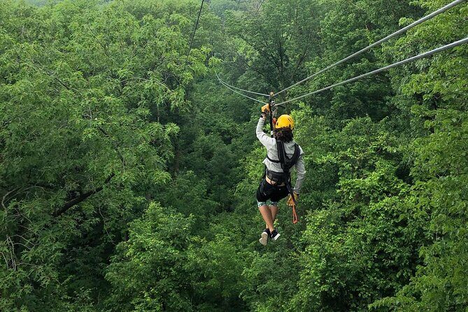 Zipline Adventure in Galena, Illinois - What Makes the Zipline Tour Stand Out?