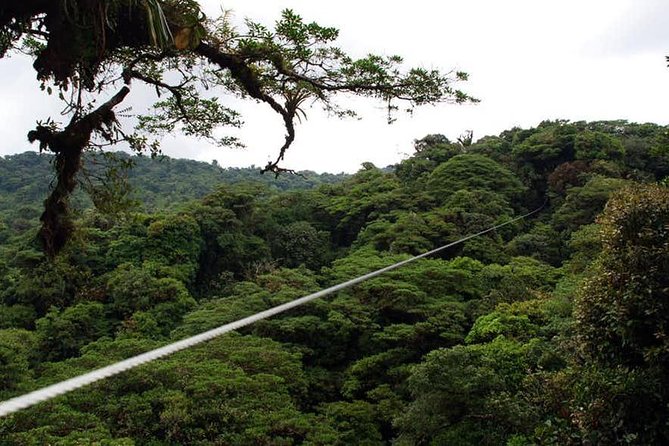 Zipline Adventure: Monteverde's Thrilling Canopy Tour - Tour Highlights