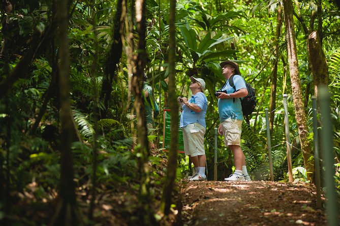 Zipline Adventure San Luis From San José - Inclusions and Amenities