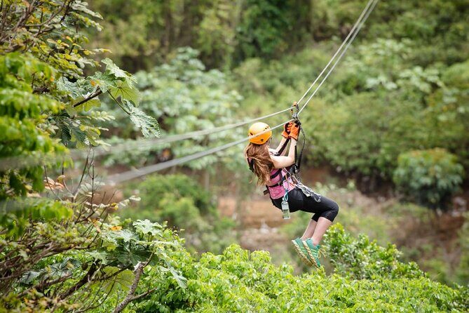 Zipline Adventure Tour - What to Expect During the Tour