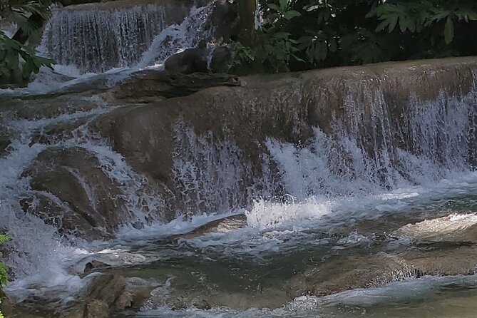 Zipline and Dunns River Falls Combo With Lunch From Montego Bay - Tour Details and Inclusions