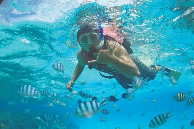 Zipline + Beach Package - Final Thoughts