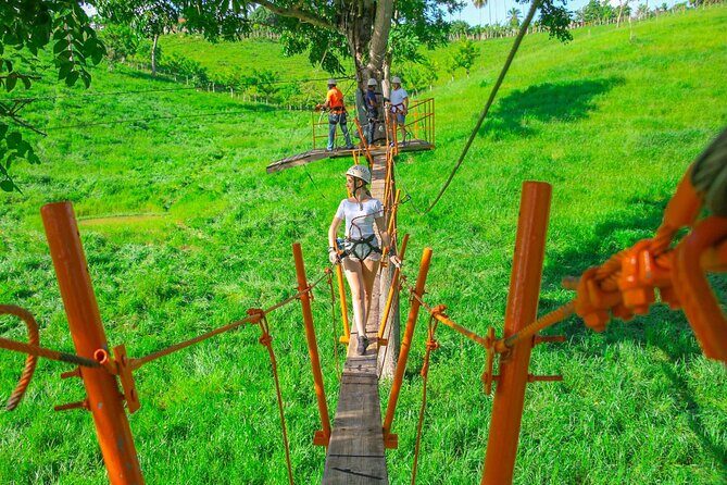 Zipline, Buggies and Horseback Riding from Punta Cana - Who This Tour Is Perfect For