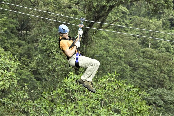 Zipline Canopy & Dunns River Falls Guided Tour With Admission From Falmouth - Accessibility and Restrictions