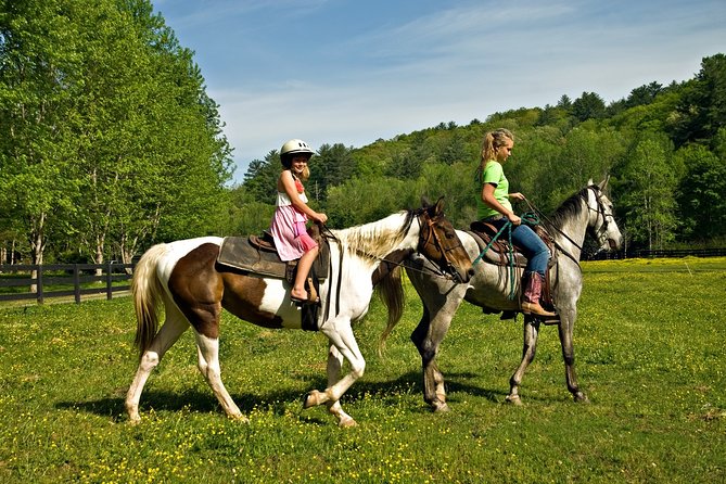 Zipline Canopy Tour & Horseback Riding Combo. Private Tour From San Jose - What To Expect
