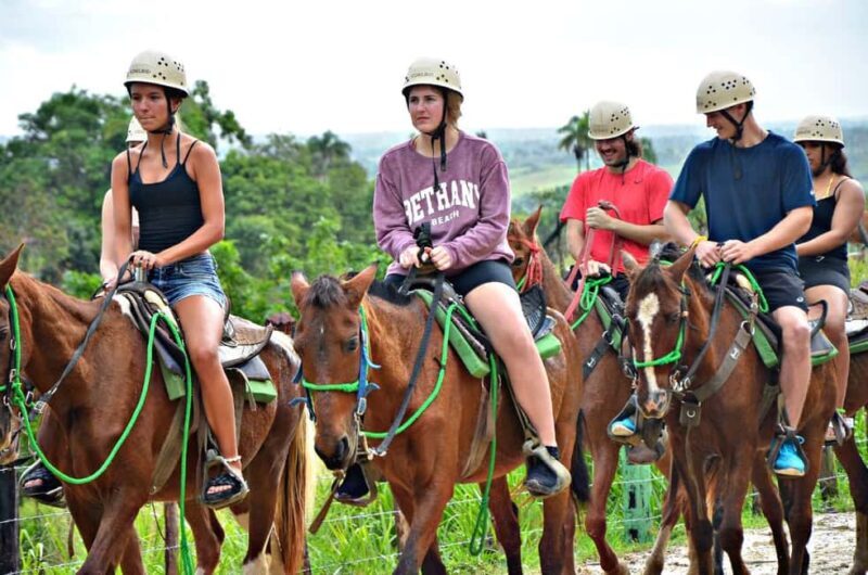 Zipline Experience with Buggy, Horses and Food Punta Cana - Good To Know