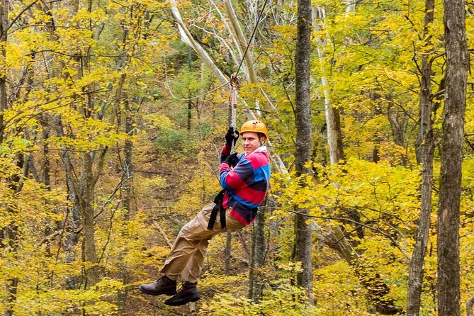 Zipline Forest at Nashville North - Not Recommended for Certain Travelers