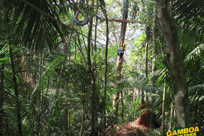 Zipline Gamboa - The Sum Up