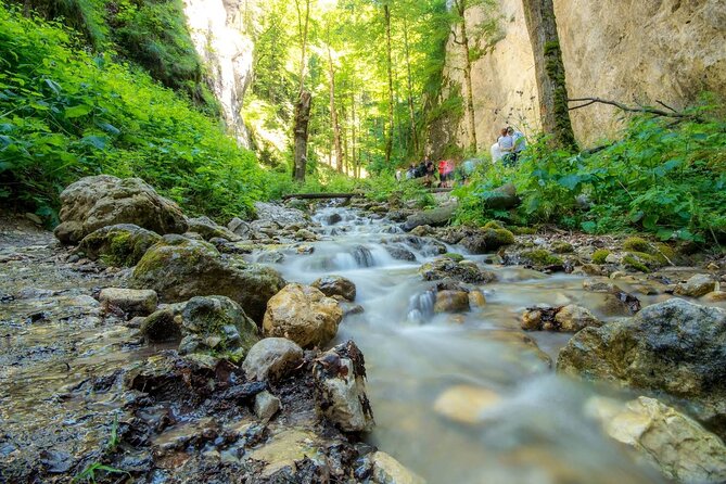Zipline, Hiking and Canyon Crossing Expedition - Inclusions and Pricing