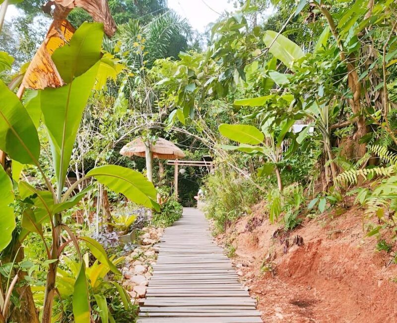 Zipline in Koh Samui Adventure activity tour - Why This Tour Offers Good Value