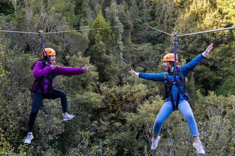 Zipline into an Ancient New Zealand Forest with Rotorua Canopy Tours - Original or Ultimate: choosing your route