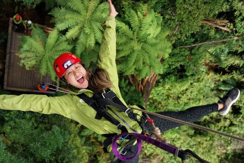 Zipline into an Ancient New Zealand Forest with Rotorua Canopy Tours - Guides, birdlife and conservation