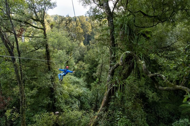 Zipline into an Ancient New Zealand Forest with Rotorua Canopy Tours - What it costs, and what the price includes